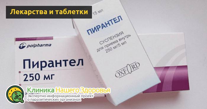 Как избавиться и вывести остриц: лечение в домашних условиях