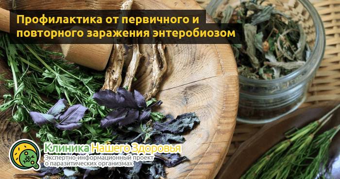 Как избавиться от остриц: лечение в домашних условиях