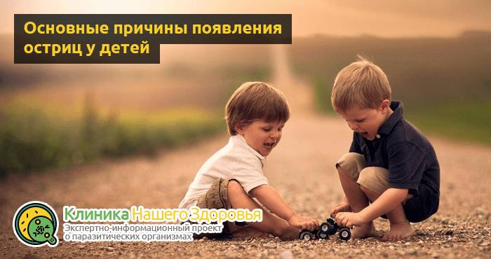 Острицы у детей: симптомы, лечение и профилактика