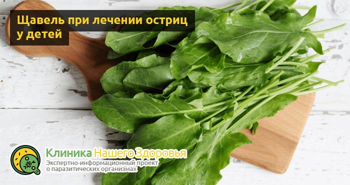 Острицы у детей: симптомы, лечение и профилактика