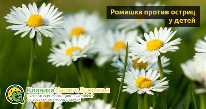 Острицы у детей: симптомы, лечение и профилактика