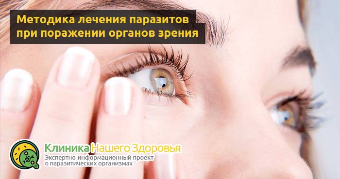 Глисты в глазах: симптомы и лечение паразитов в органах зрения
