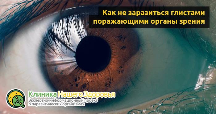 Глисты в глазах: симптомы и лечение паразитов в органах зрения