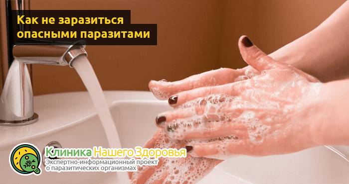 Паразиты в крови человека: симптомы, диагностика и лечение