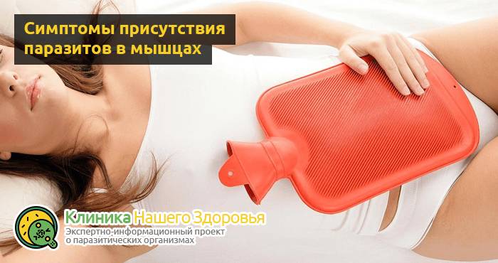 Паразиты в мышцах человека: симптомы, диагностика и лечение