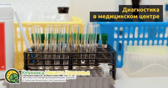 Паразиты в мышцах человека: симптомы, диагностика и лечение