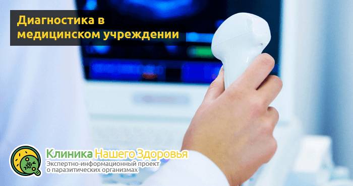 Паразиты в печени человека: симптомы и лечение