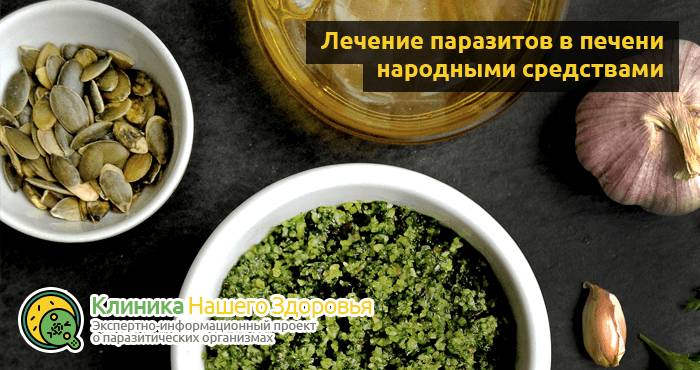 Паразиты в печени человека: симптомы и лечение