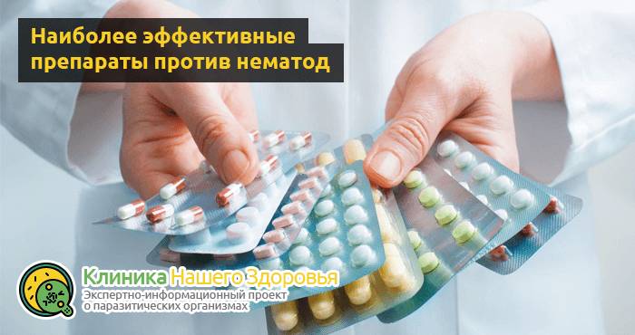 Препараты от глистов: лучшие лекарства и таблетки от паразитов