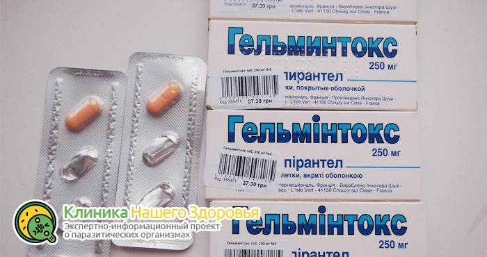 Препараты от глистов: лучшие лекарства и таблетки от паразитов