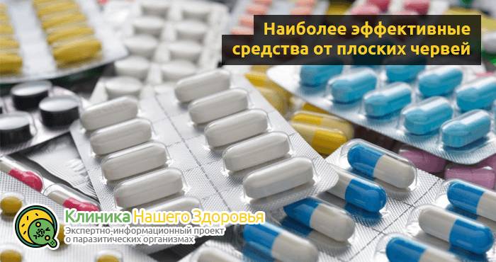 Препараты от глистов: лучшие лекарства и таблетки от паразитов