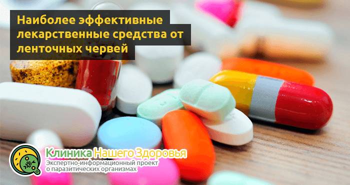 Препараты от глистов: лучшие лекарства и таблетки от паразитов