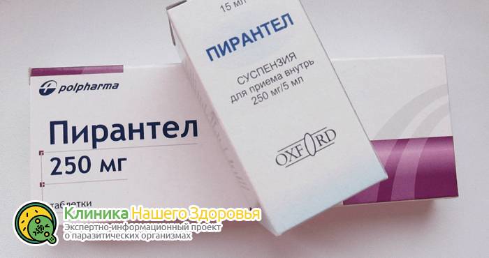 Препараты от глистов: лучшие лекарства и таблетки от паразитов