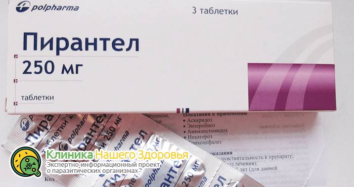 Лечение остриц у взрослых: препараты и таблетки от энтеробиоза