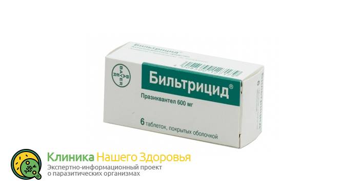 Профилактика глистов и паразитов: методы, препараты и лекарства