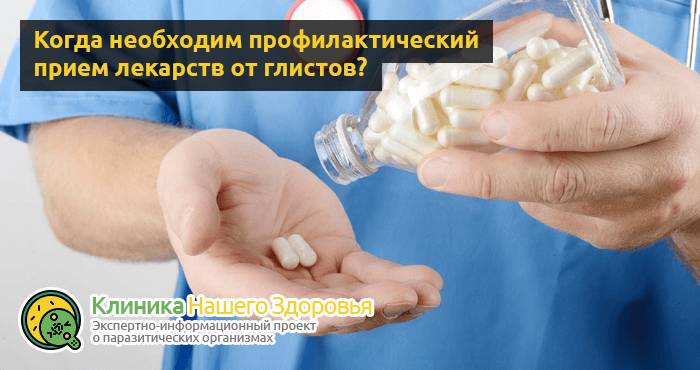 Профилактика глистов и паразитов: методы, препараты и лекарства