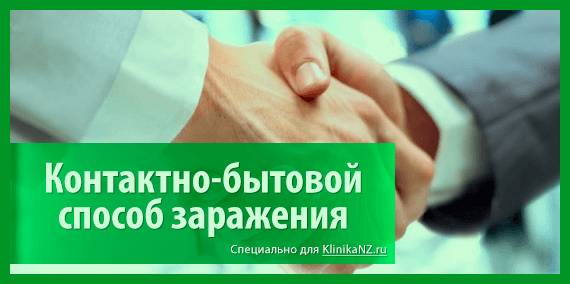 Пути передачи аскаридоза: как можно заразиться аскаридой?