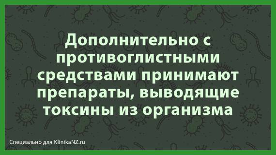 Пути передачи аскаридоза: как можно заразиться аскаридой?