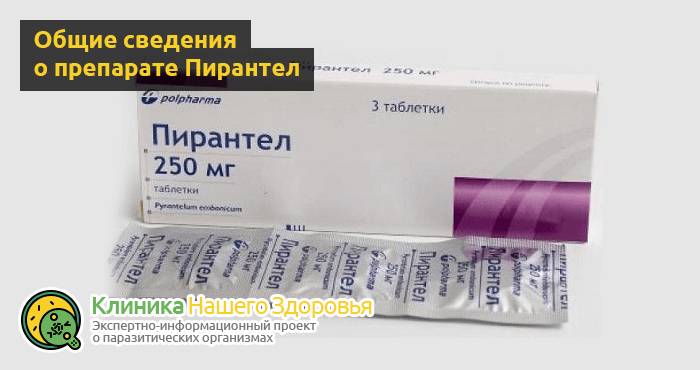 Пирантел — инструкция по применению, дозировка, отзывы и аналоги