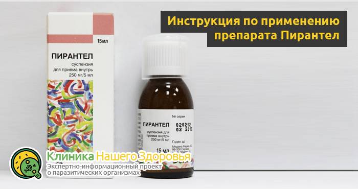 Пирантел — инструкция по применению, дозировка, отзывы и аналоги
