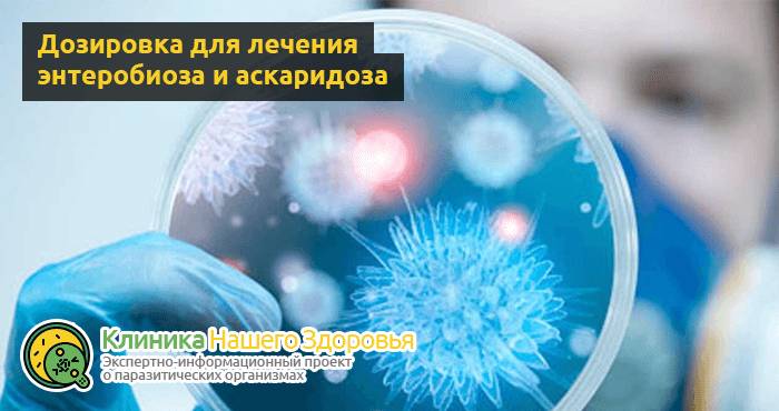 Пирантел — инструкция по применению, дозировка, отзывы и аналоги