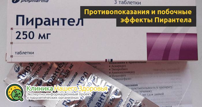 Пирантел — инструкция по применению, дозировка, отзывы и аналоги