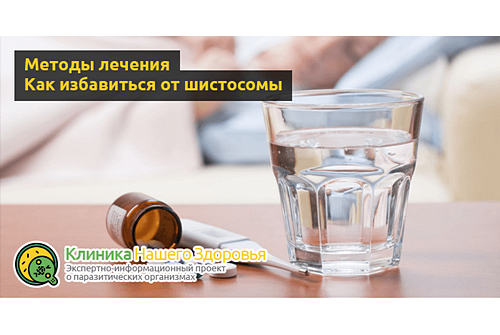 Как избавиться от шистосомы