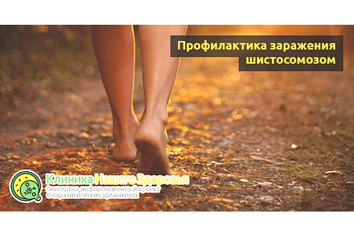 Профилактика заражения
