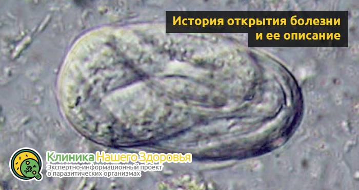 Стронгилоидоз: причины, симптомы, диагностика и лечение болезни