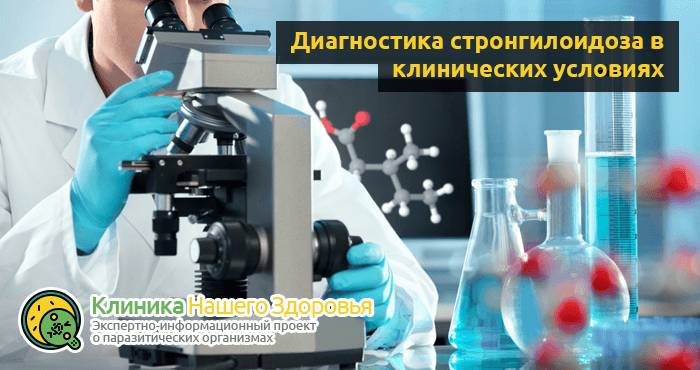 Стронгилоидоз: причины, симптомы, диагностика и лечение болезни