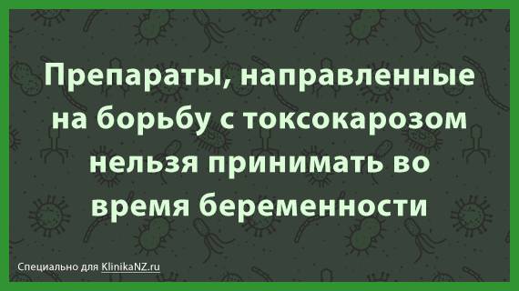 Токсокароз: виды, последствия, диагностика токсокары и лечение