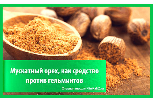 Мускатный орех от глистов