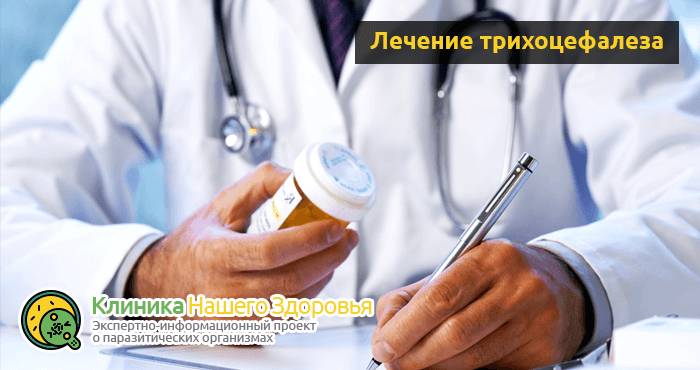 Трихоцефалез человека: симптомы, причины, диагностика и лечение