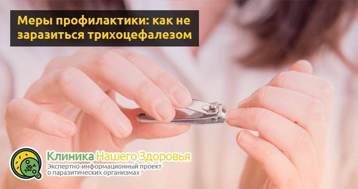 Трихоцефалез человека: симптомы, причины, диагностика и лечение