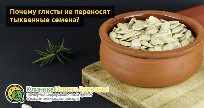 Тыквенные семечки от глистов: рецепты, как принимать, отзывы