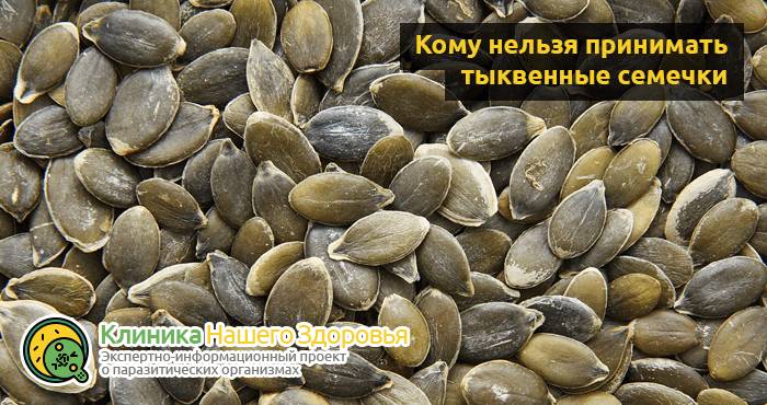 Тыквенные семечки от глистов: рецепты, как принимать, отзывы