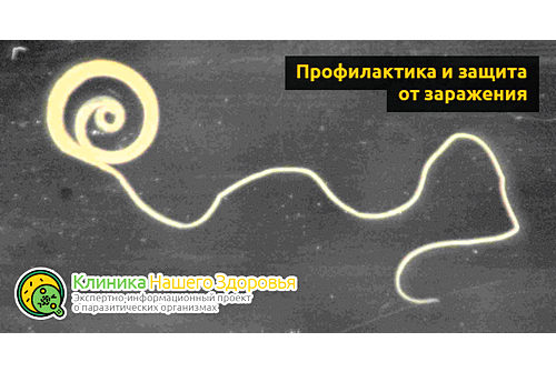 Профилактика и защита от заражения
