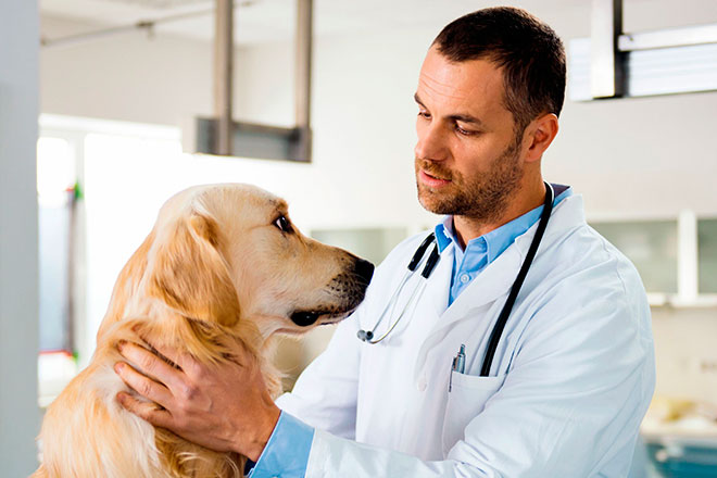 Причины появления