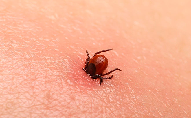 Что делать?