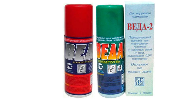 Веда