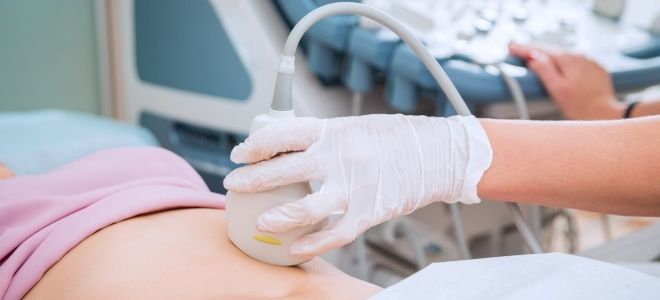 Диагностика ленточных червей у человека