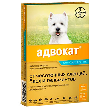 Адвокат