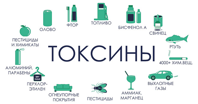 Что такое токсины и шлаки?