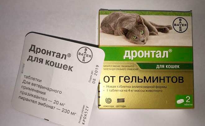 Дронтал