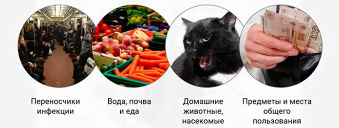 Пути заражения
