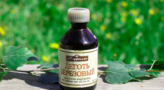 Березовый деготь