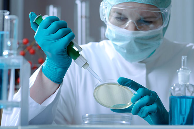 Klebsiella pneumoniae