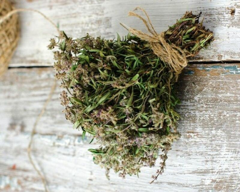 Чабрец для потенции - надежный друг мужского здоровья Траву можно сушить, связывая в небольшие пучки и развешивая на веревках или гвоздях под потолком