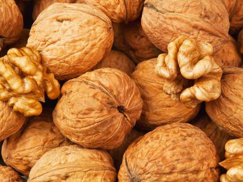 Польза грецкого ореха на потенцию Грецкий орех свойства при потенции
