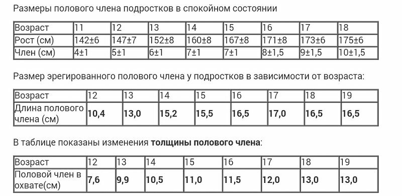 Средний размер члена - развенчаем популярные мифы Отклонения от указанных показаний незначительные.